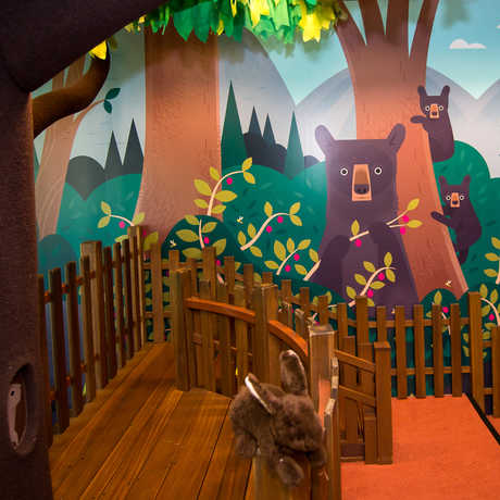 The iconic climbing tree framed by an all-new colorful mural inside the new Curiosity Grove educational play space.