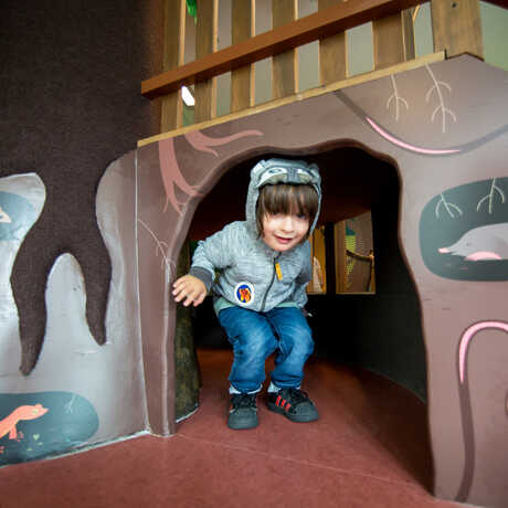A young explorer emerges from a secret hiding place below the climbing tree in Curiosity Grove.