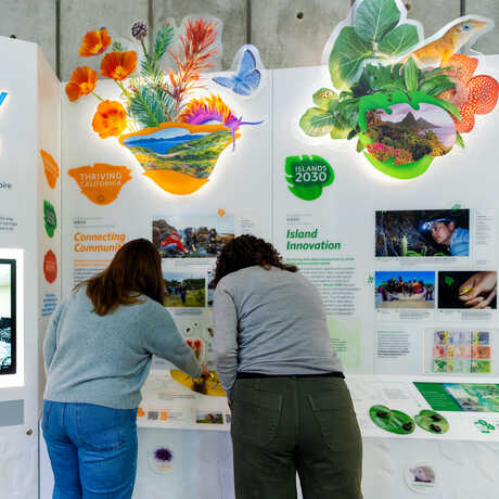2 guests look at the new exhibition kiosk, Academy in Action