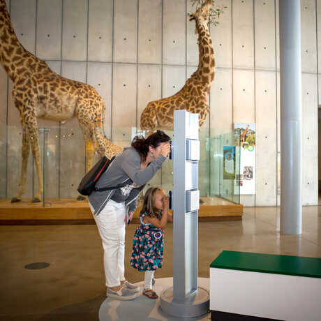 A mother and daughter use an exhibit viewer designed for guests of different heights