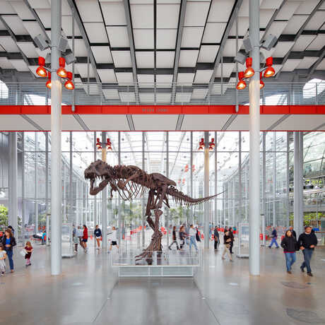 T. rex in Main Lobby