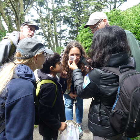 Join a bioblitz