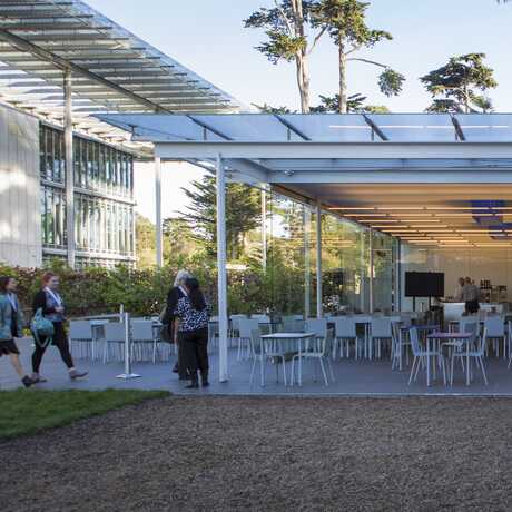Terrace Restaurant