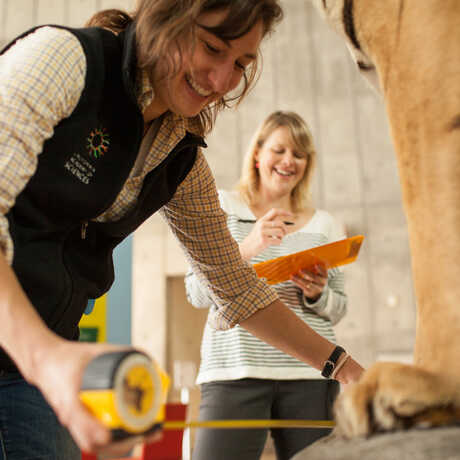 Exhibits staff preparing an exhibit for the public floor  