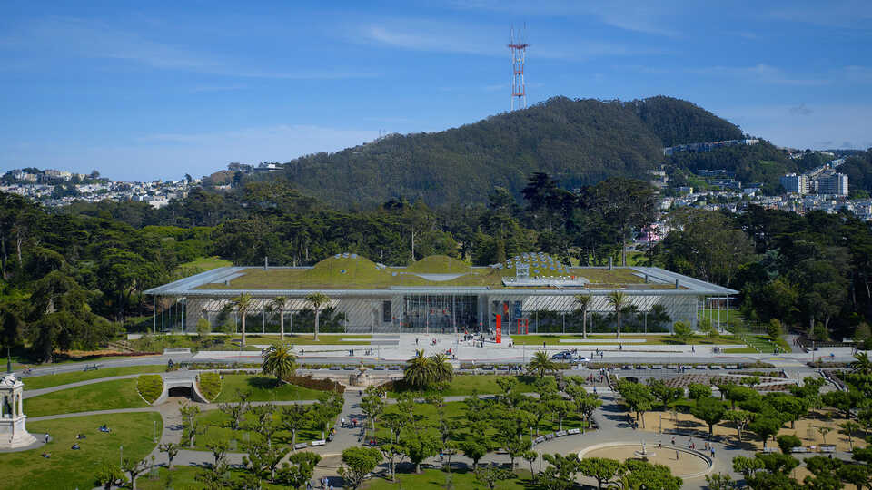 California Academy of Sciences