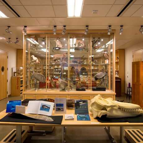 Naturalist Center