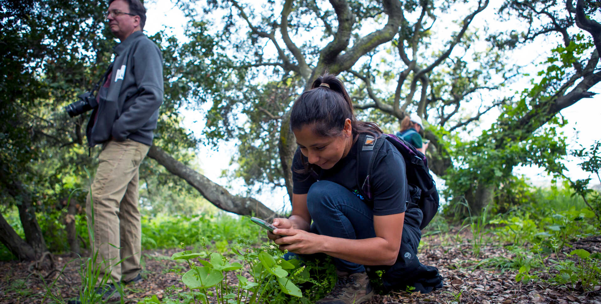 Citizen science observation