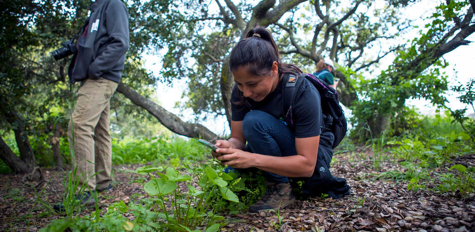 Citizen science observation
