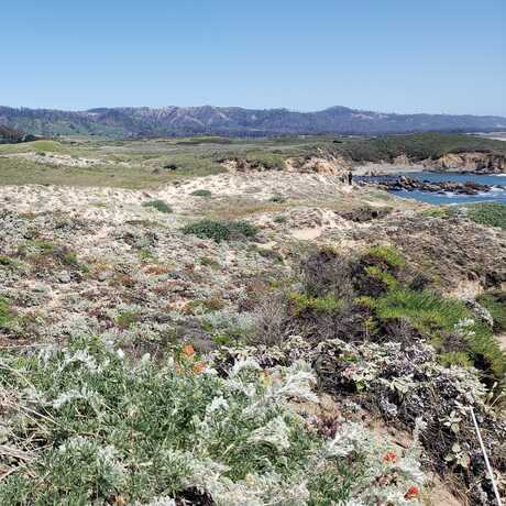 Coastal Biodiversity
