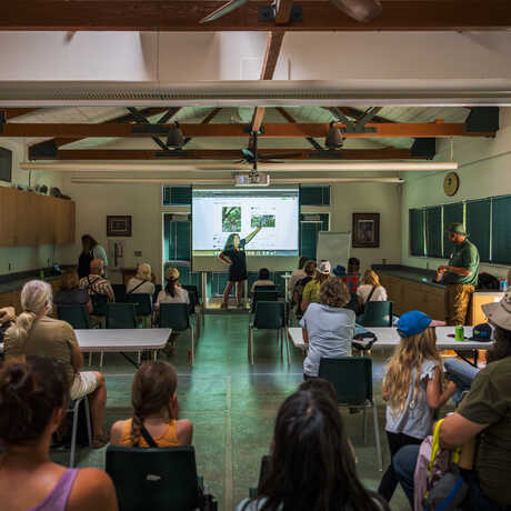 Rebecca Johnson giving a presentation at Effie Yeaw Nature Center on California Biodiversity Day