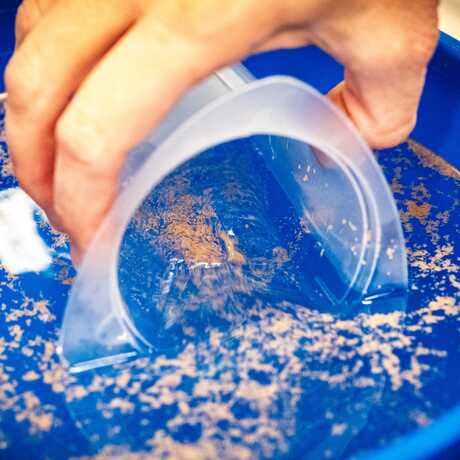 A researcher scoops gamete bundles from the surface of the water in the Coral Regeneration Lab. Photo by Gayle Laird 