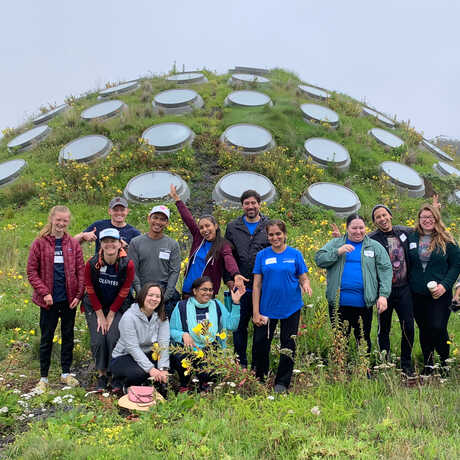 Volunteers from Oracle garden atop the Academy's Living Roof