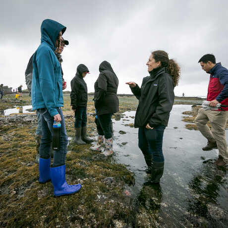 Academy donors and community scientists explore tidepools at Pillar Point