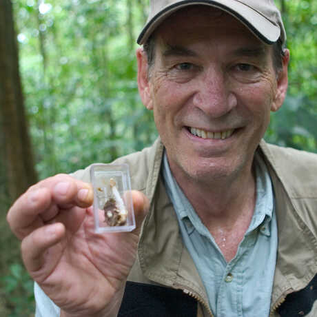 Dr. Bob Drewes