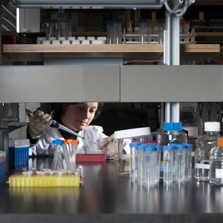 Microbiology
