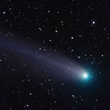 HaleysComet_AlanTough