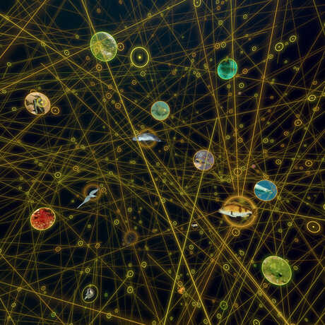 Seemingly endless connections between Earth's organisms as visualized in a scene from Habitat Earth