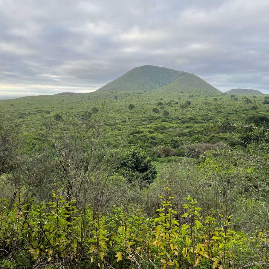 The Galápagos Islands