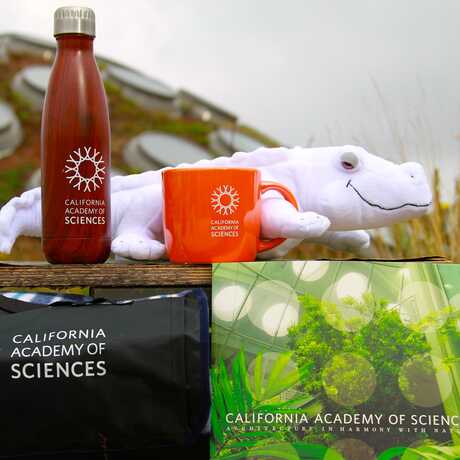 Souvenir gifts available at the Academy store