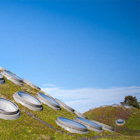 The Academy's rainforest dome with skylights against a blue sky