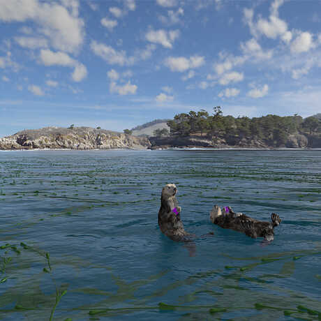 Playful sea otters eat urchins in this film still from Habitat Earth