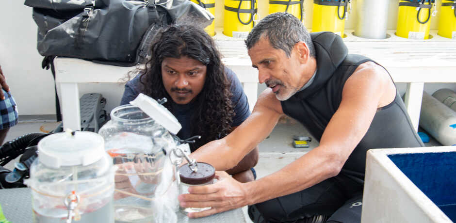 Academy curator Luiz Rocha and research partner Ahmed Najeeb examine a specimen in the Maldives