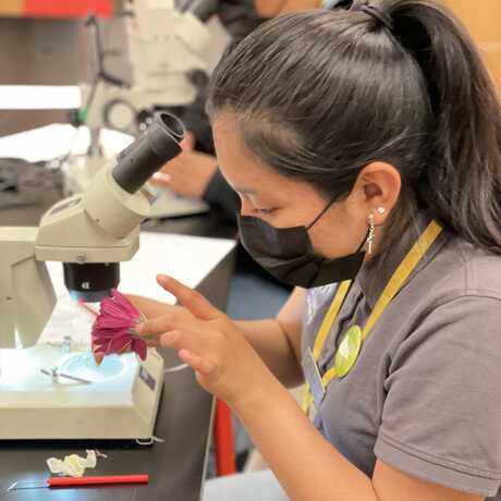 CiS intern dissecting flower 