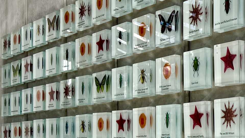 Donor recognition wall