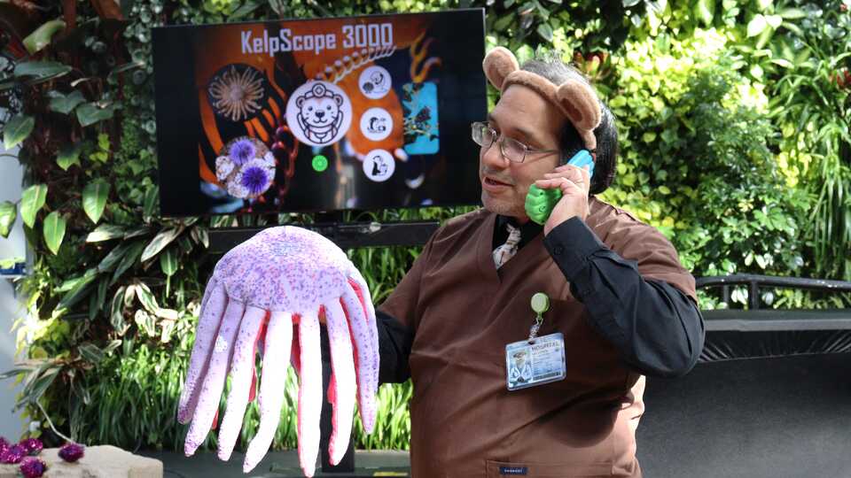 Presenter dressed as an otter holding plush sea star