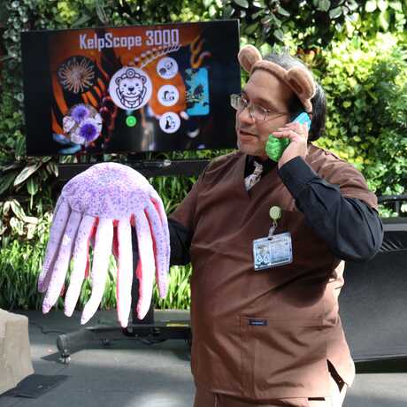 Presenter dressed as an otter holding plush sea star