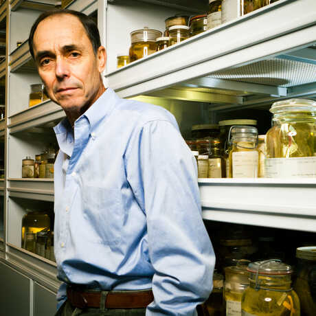 John McCosker in collections 