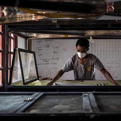 Man works in Madagascar cricket farm