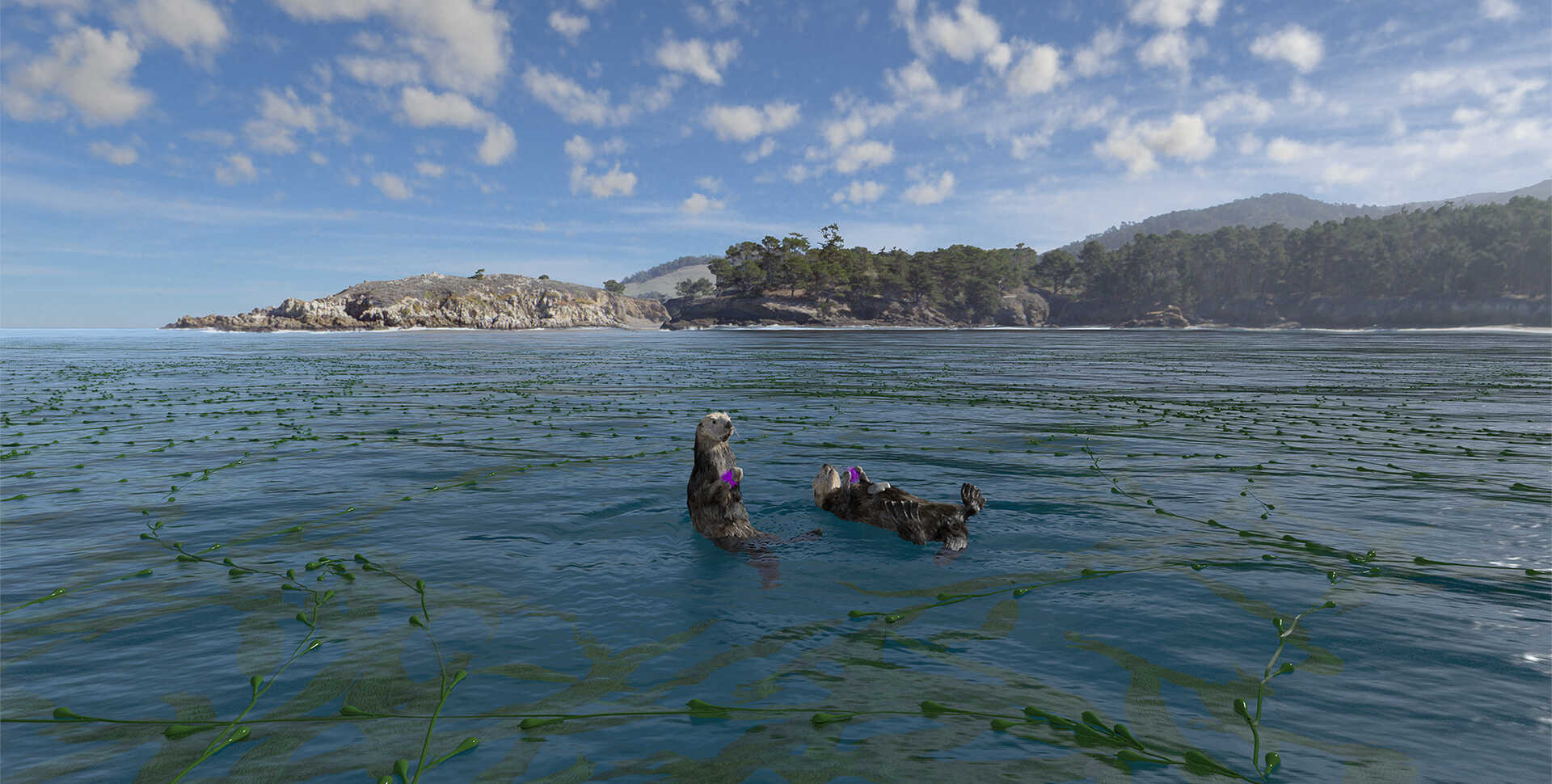 Sea otters float on a calm ocean in a scene from the new planetarium show Habitat Earth