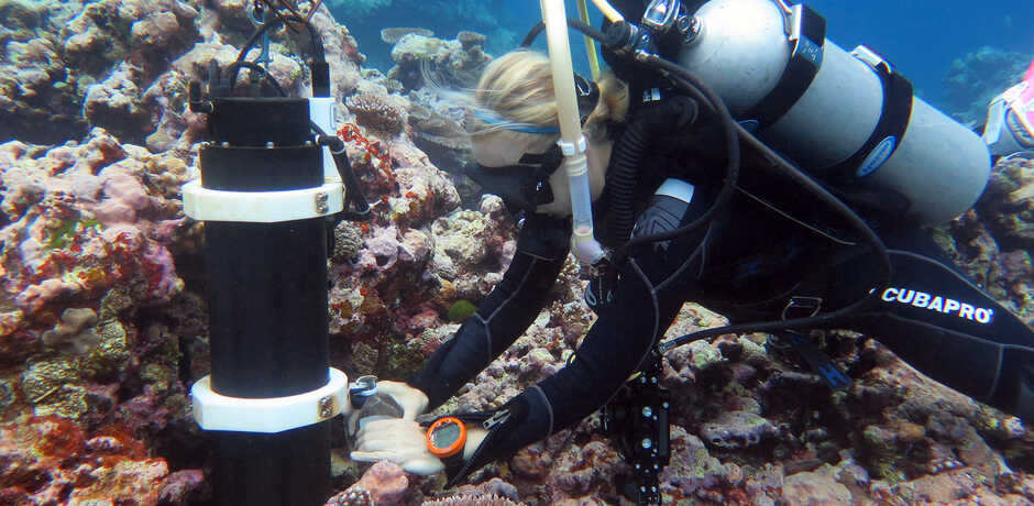Academy coral reef scientist Rebecca Albright studies a reef in Pohnpei
