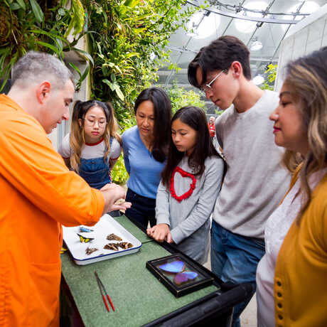 Academy member family learn about butterflies in the rainforest from a docent