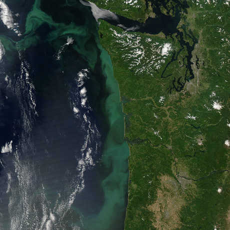 Blooms off the Northwest Coast