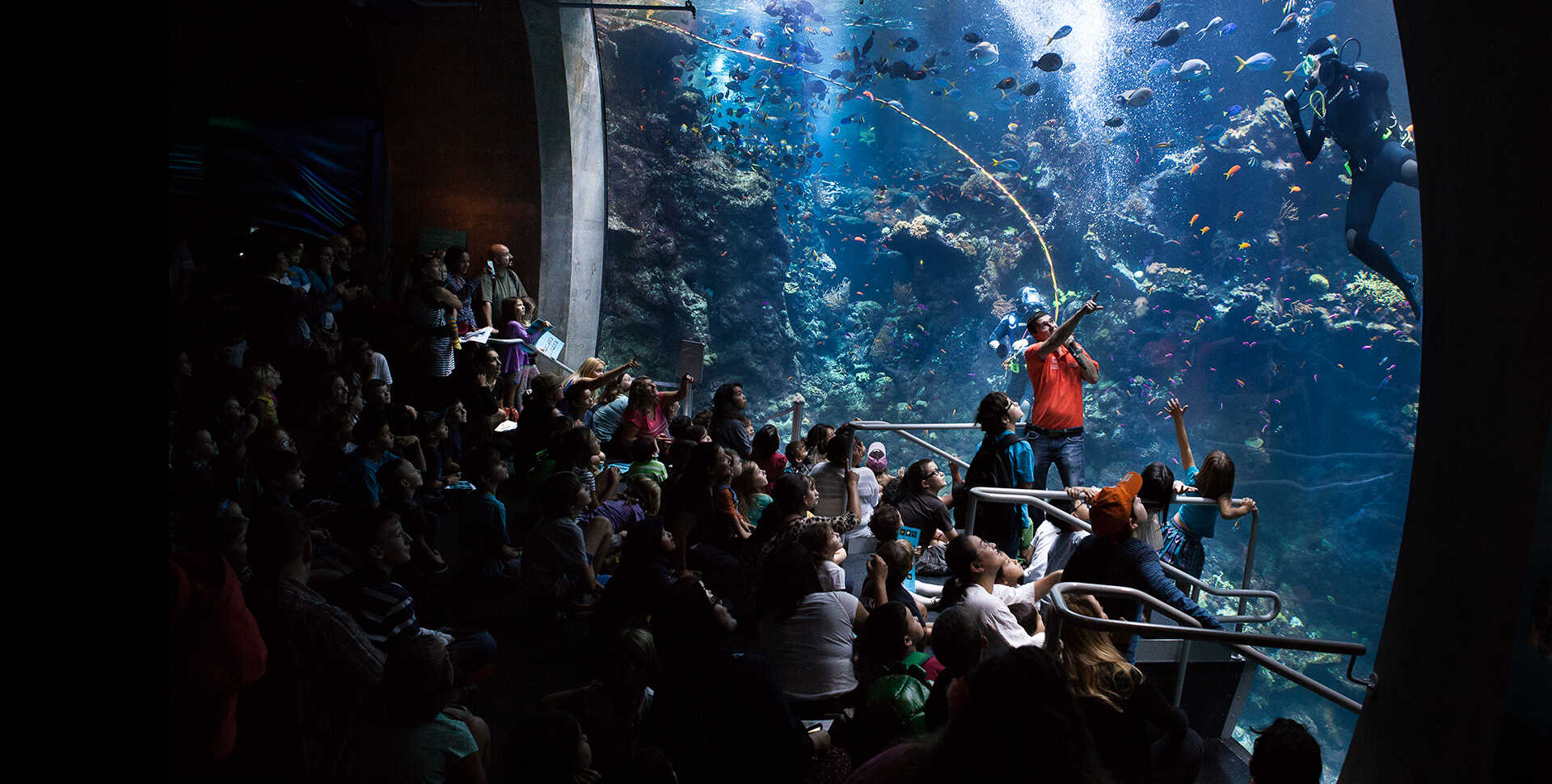 Philippine Coral Reef