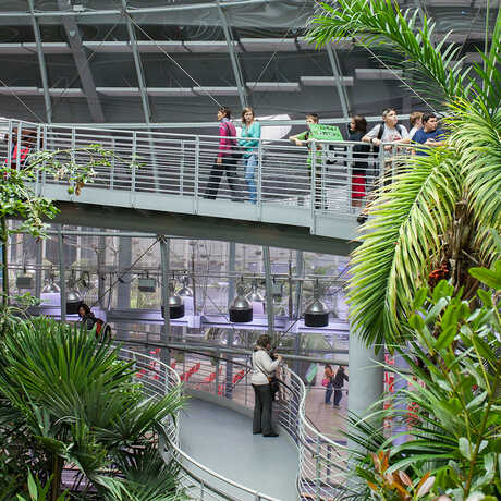 Osher Rainforest