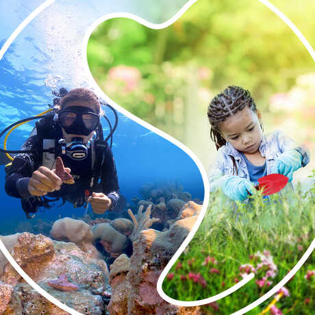 Photo illustration of diver planting coral polyps and girl planting flowers
