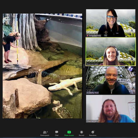 Screenshot of Academy virtual Zoom tour featuring Claude the alligator
