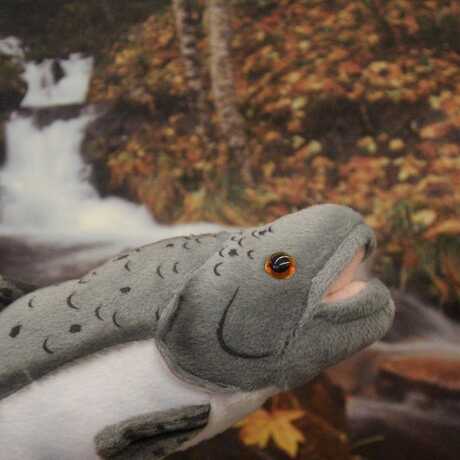 A Chinook salmon puppet with a river image background