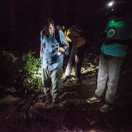 Bob Drewes and team on a night-hike in São Tomé and Príncipe