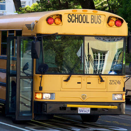 SchoolBus_MarioSánchezPrada school field trip ideas