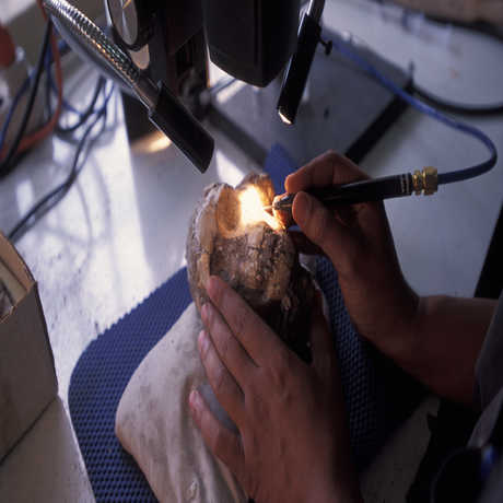 Selam being extracted from the matrix