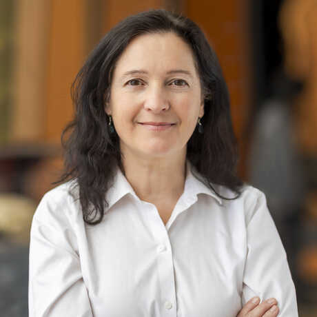 Shannon Bennett, Dean of Science and Research Collections