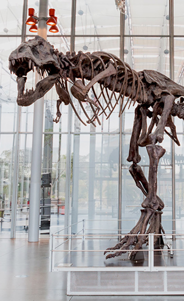 Kimball Natural History Museum