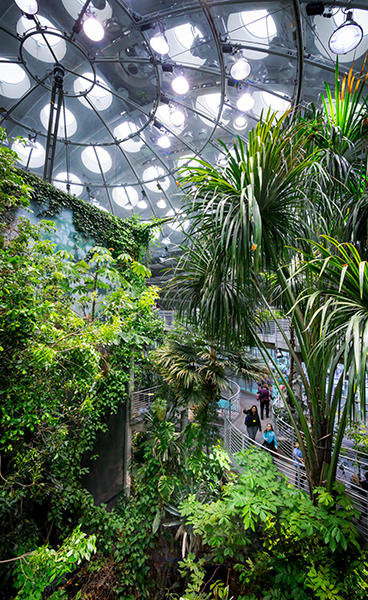 Osher Rainforest