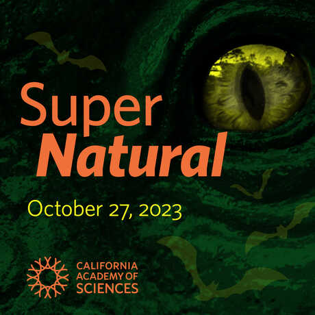 dinosaur eye with supernatural word mark