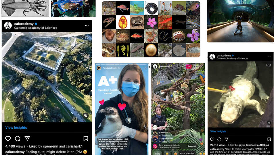 A collage of screenshots for a wide range of different social posts and platforms.
