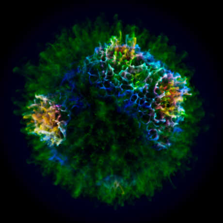 Digital simulation of x-rays emitted by an exploding star from Spark: The Universe in Us
